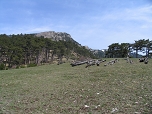 Вид с Биюк-Кабоплу на яйлу: вершины Джады-кая, Джады-бурун, 1410 и пер.Джунын-кош-богаз
