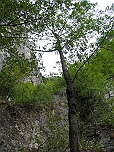 Богаз-хая тоже образует со стеной что-то похожее на кулуар, поднимающийся к Бойкинскому ущелью