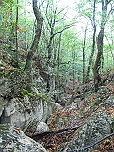 Бойкинское ущелье, вид на восток