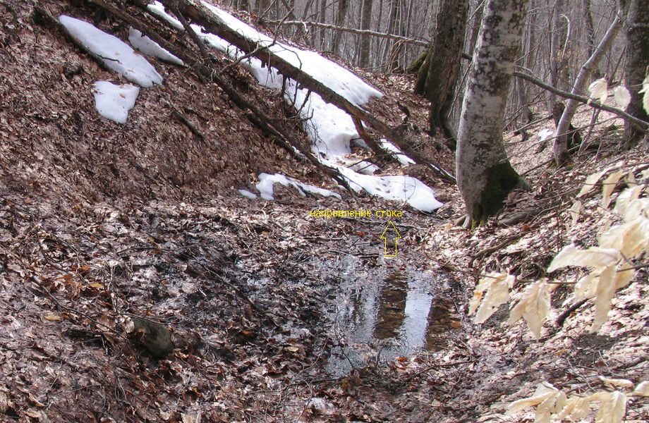 выход воды родника Татиль-2 в марте 2008 г.