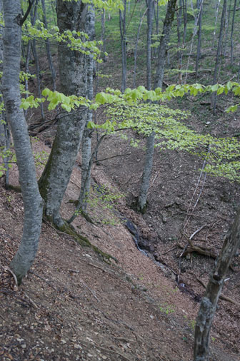 весенний ручей Серна правая на высоте 830 метров, вид с тропы