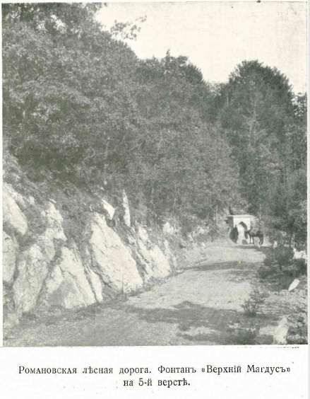 фото из отчёта К.Д. Кельтсера ''Романовская лесная дорога''