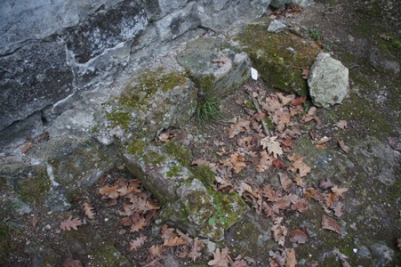 остатки дренажной ямы под стеной фонтана для отвода падающей воды