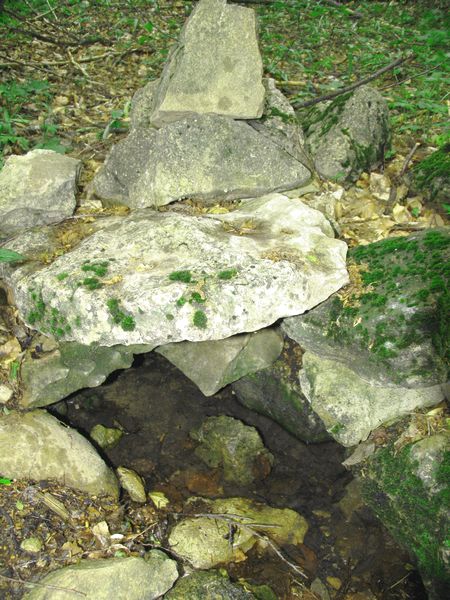 выход воды, обложенный камнями - июнь 2008 г.