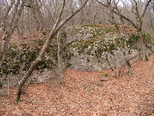 скала-камень, вид с тропы, 3 января 2010 г.