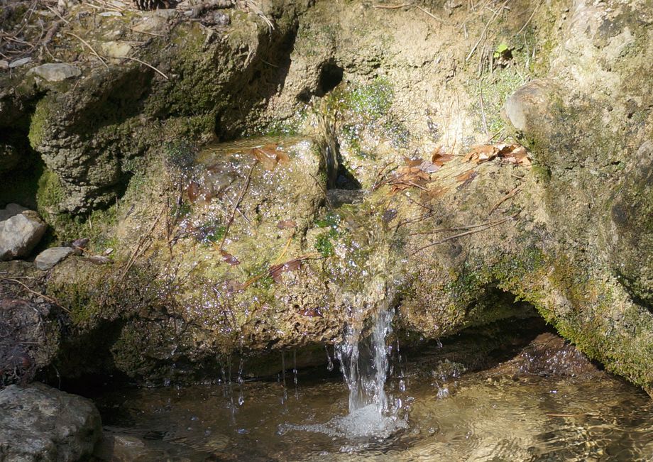 вода вытекает сбоку из отверстия в туфовых отложениях