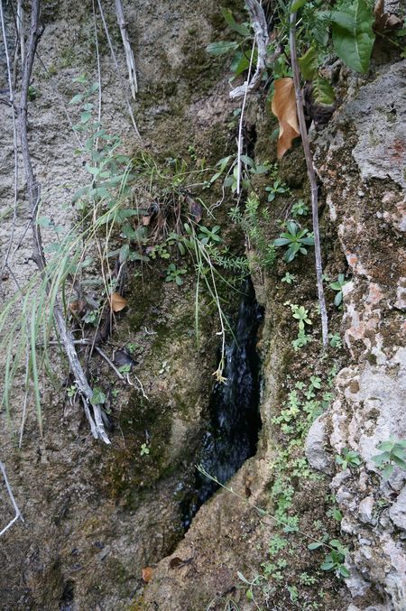 водоносная расщелина в скале над фонтаном, откуда течёт вода