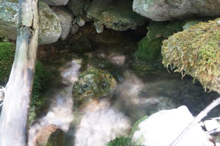 выход воды из-под каменистого берега