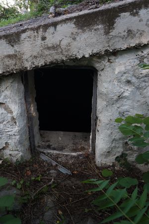 бункер без дверцы