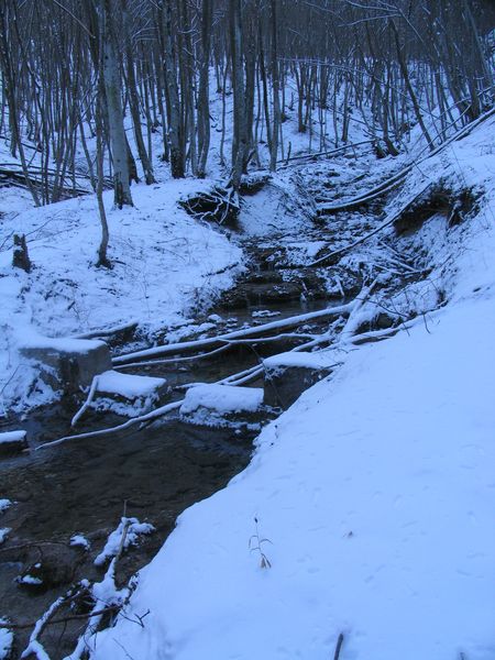 водомерные ворота на ручье источника выше места впадения в  ручей Алмачук