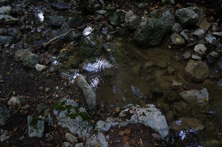 воду на истоке Кучук-Карасу можно набрать кружкой