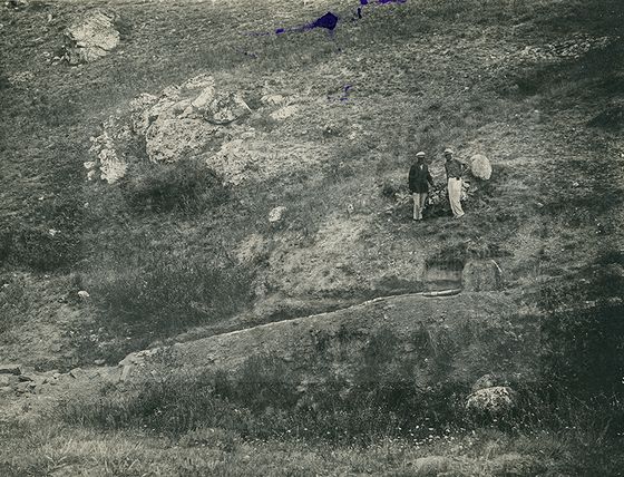 Султановская долина. Балка Джан-Кутаран. Раскоп №2. Линия  раскопанной магистрали. Вид с западного склона  балки.