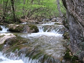 Хапхал. Каскады и водопадики ниже скального прижима