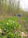 11:15. Балка Кислая