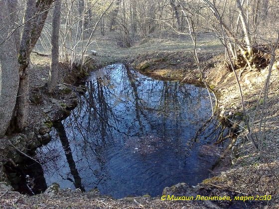 фото одного из родников Чокрак, сделанные Михаилом Леонтьевым в марте 2010 г.