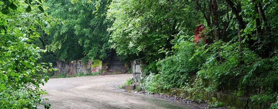 21 мая 2017 года