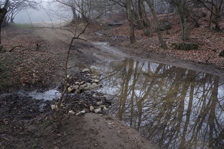 вытекание ручья на дорогу и образование озерца