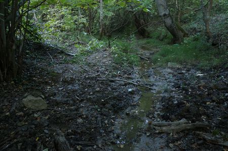 выход воды выше из-под левого берега