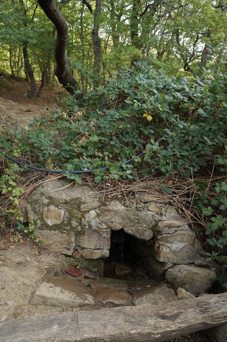 в ежевике лежит труба ПНД с воронкой на конце для набора воды  в стороне от каптажа