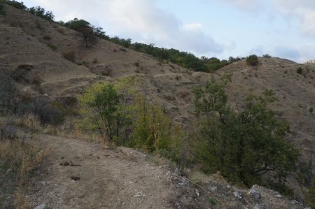 тропа от родника Бахр-баш к роднику Чалки (Лесной Верхний)