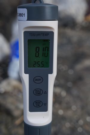 температура воды 25° C; pH 8,1