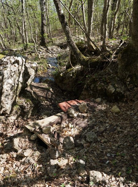 правый выход родника Чокрак-1, вид сверху