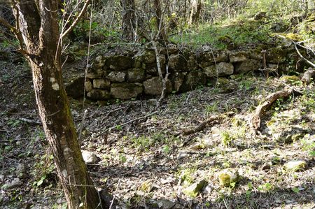 развалины старой защитной стенки выше и правее родника 