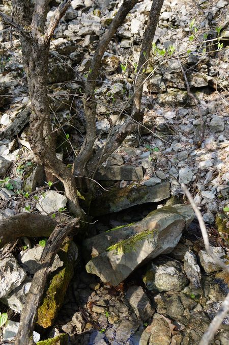 родник Джан-суда-чокрак