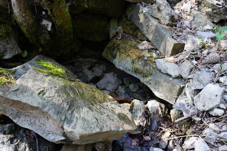 выход воды Джан-сувда из-под камней