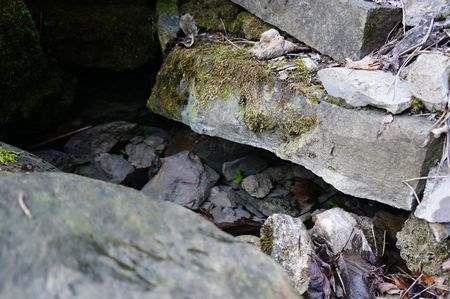 набирать воду нужно здесь