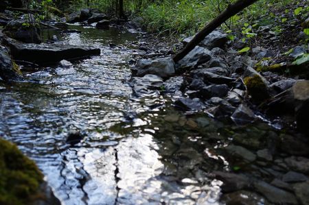 образующийся ручей, вид на Ю