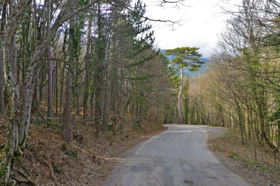 спуск в Ялту, слева на нагорном склоне глухой каптаж Суук-су-2 (Караголь-II)