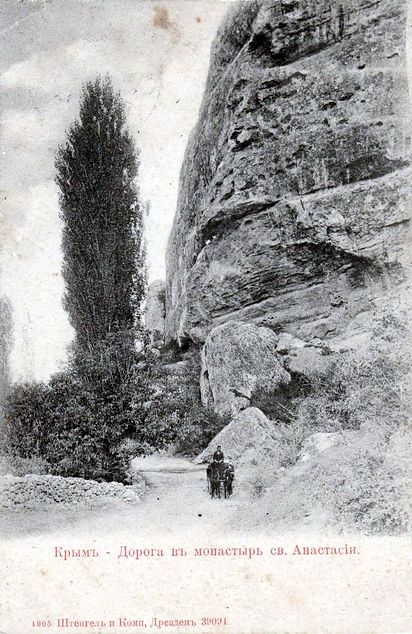 тополи на видовой открытке 1905 года