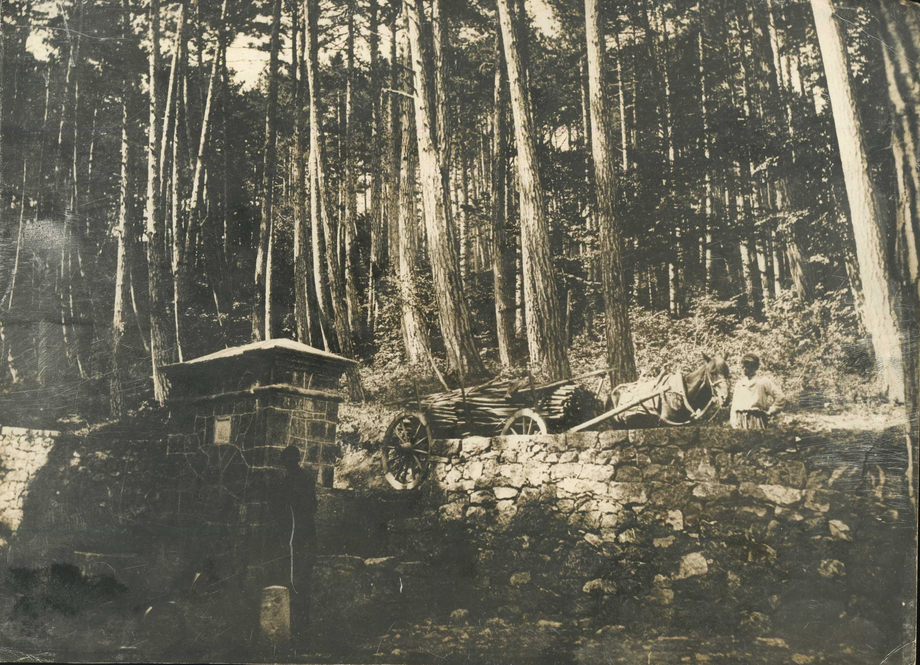 Крым. Придорожный фонтан. Б/д. Фотография из коллекции Антона Удоденко