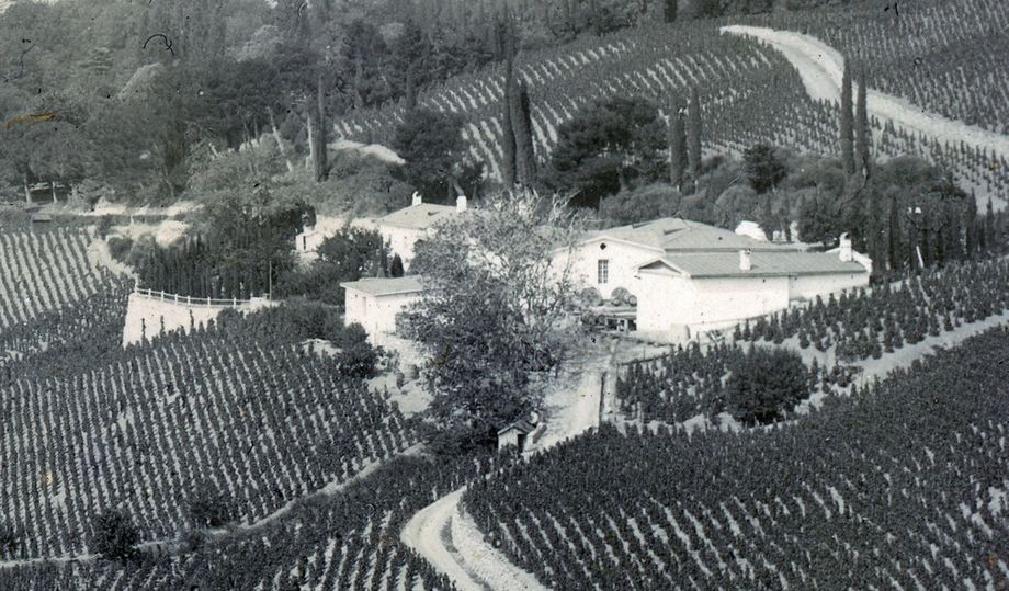 Вид зданий винодельни в начале ХХ века с восточной стороны.